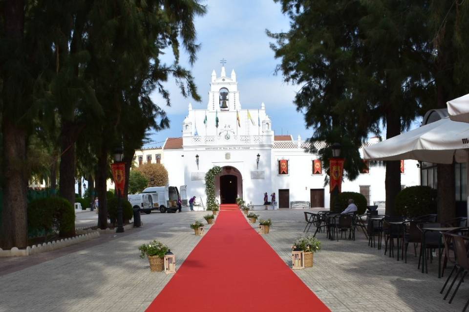 Pasillo decorado y alfombra