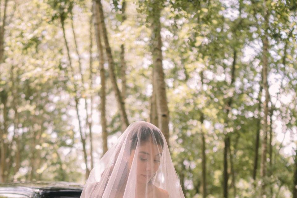 Bodas Exclusivas