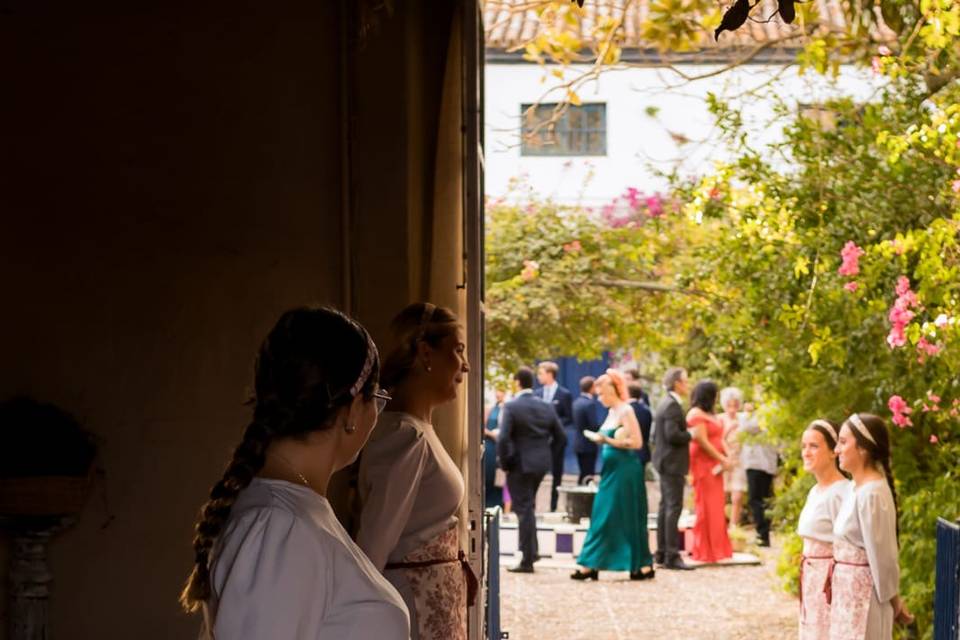 Recibimiento a los invitados