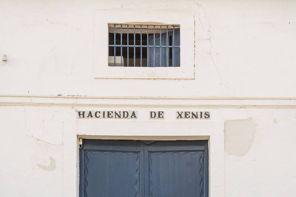 Decoración Entrada