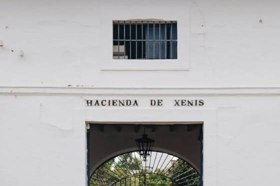 Decoración entrada