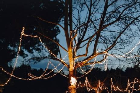 Jardines