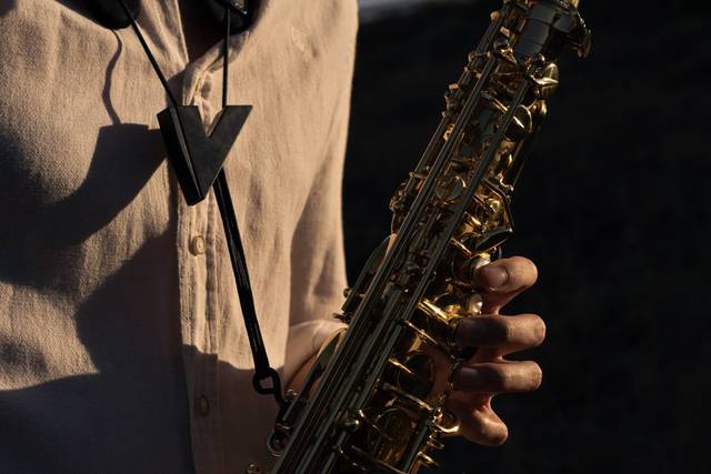Saxofonista profesional