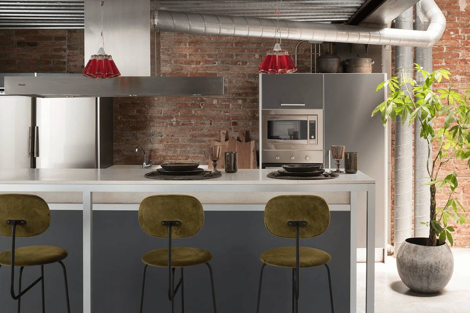 Cocina profesional con horno