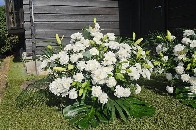 Crisantemo y lilium