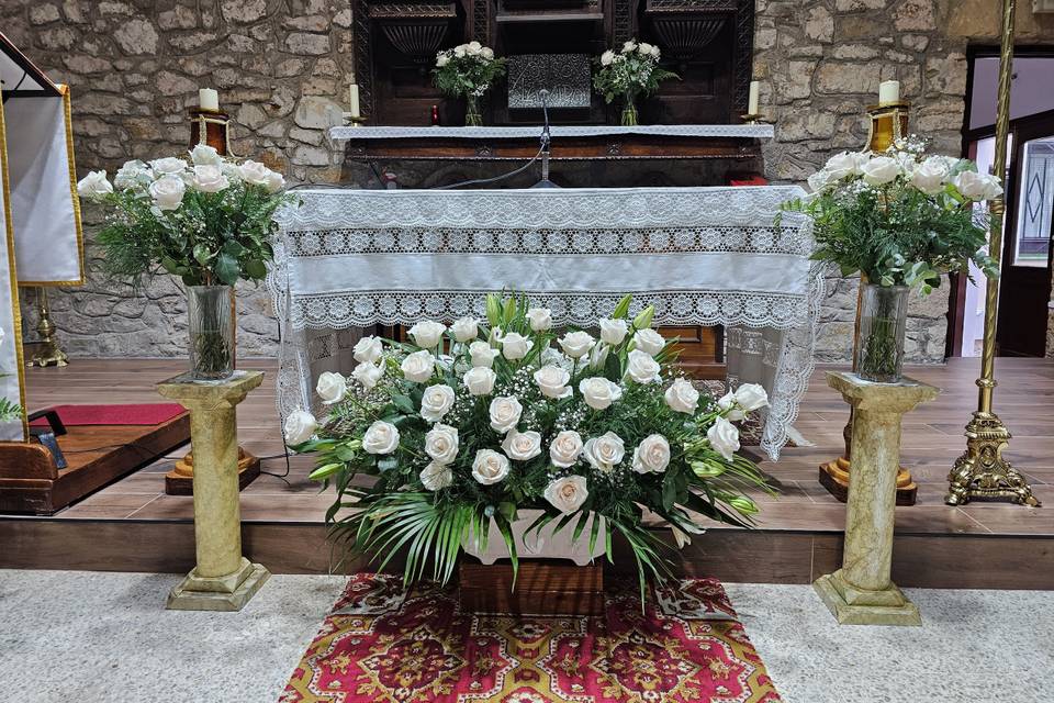 Rosas blancas