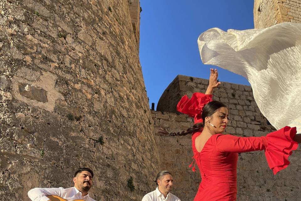 Ismael Rodríguez - Flamenco show