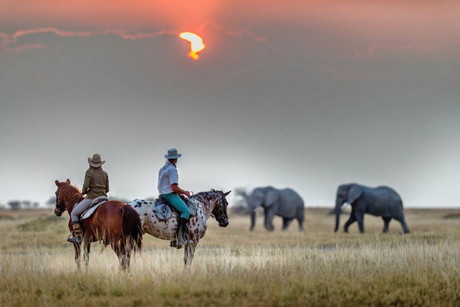 Safaris a caballo