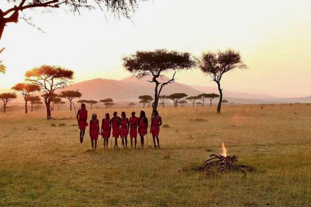 Luna de miel en el Serengeti