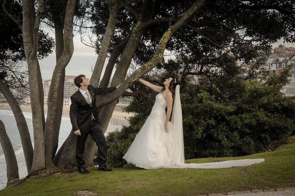 Boda