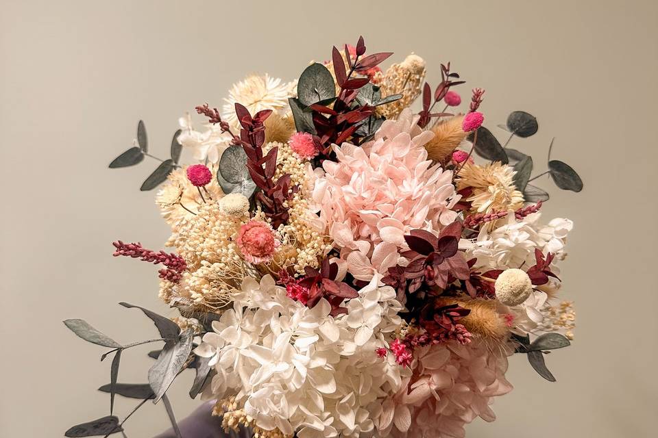 Hanami Studio