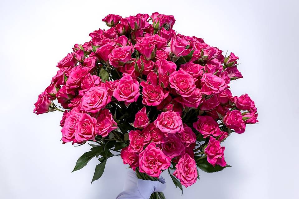 Ramo rosas spray