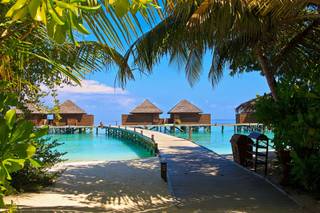 Looking Paradise 2