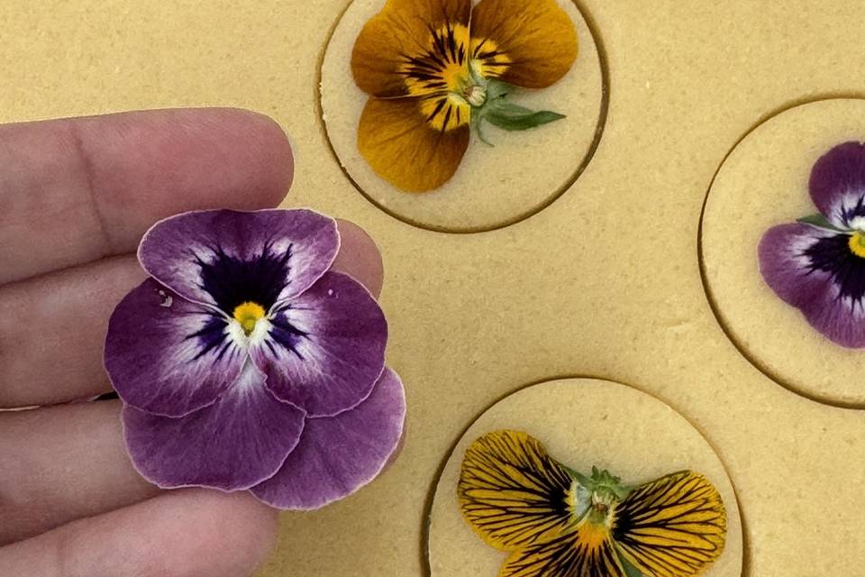 Elaboración Dulcetta