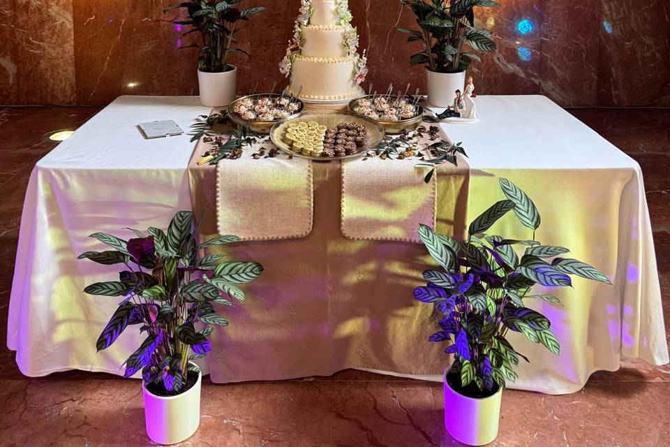 Boda. Santa Paula