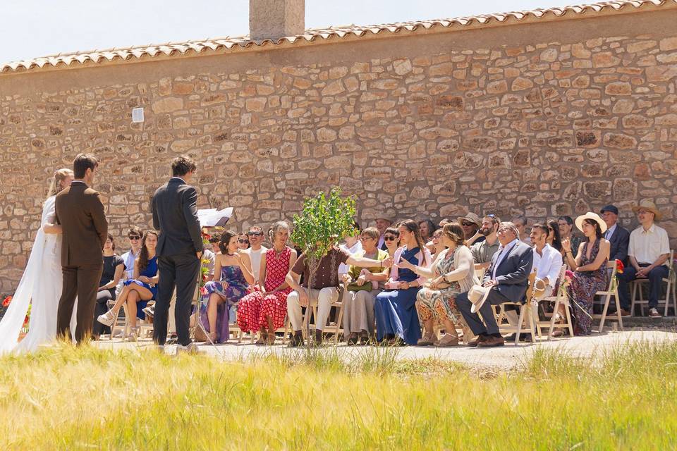 Boda B&B
