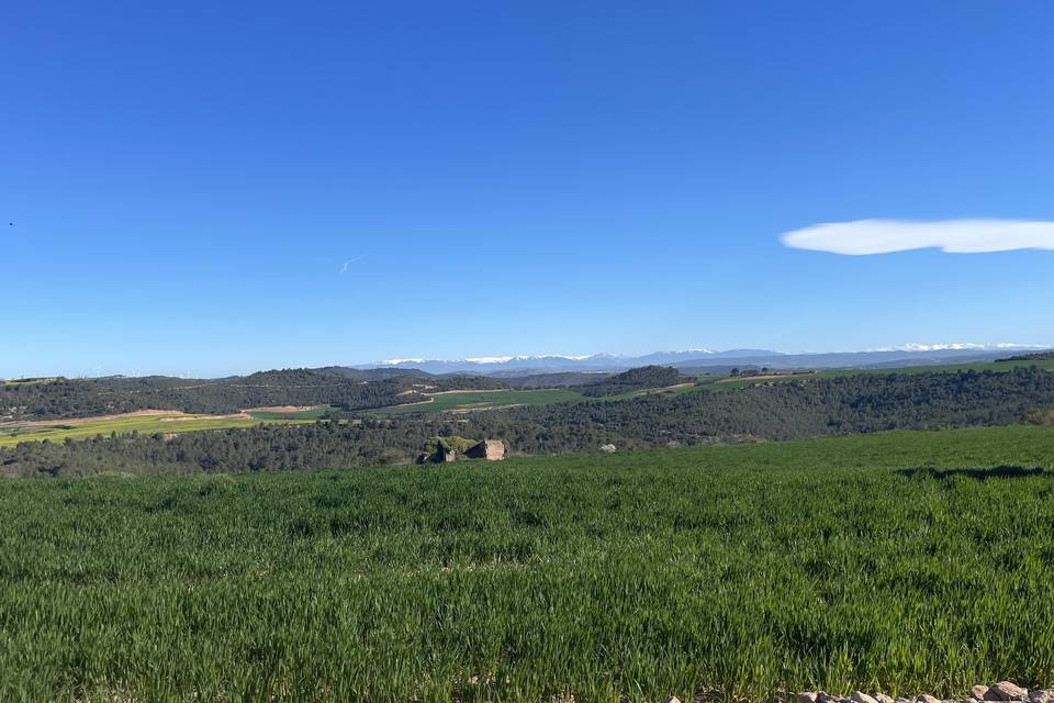 Camp del voltant