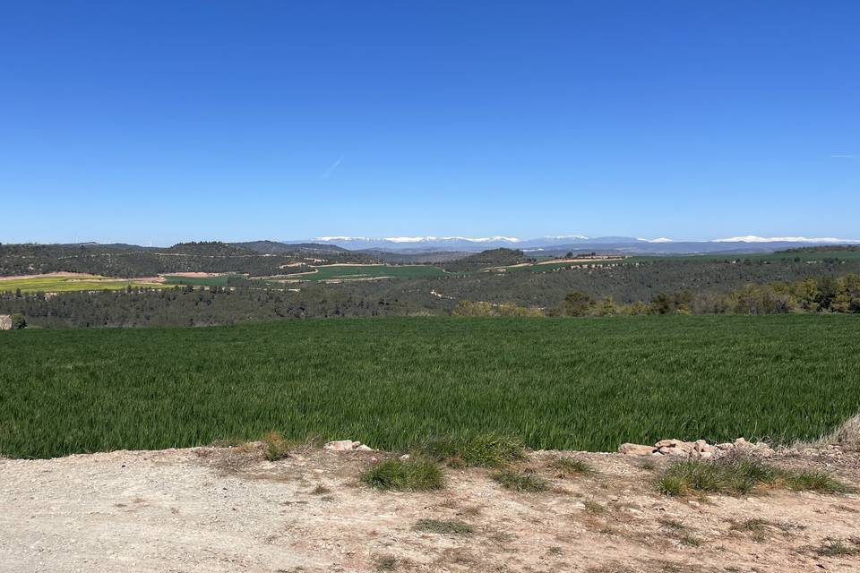 Camp primavera