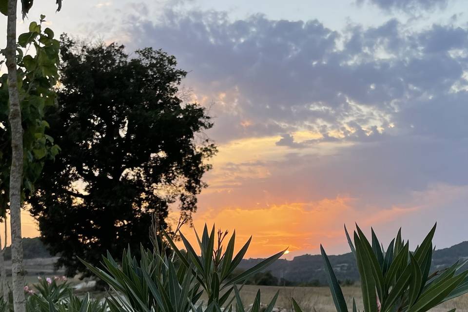 Posta de sol