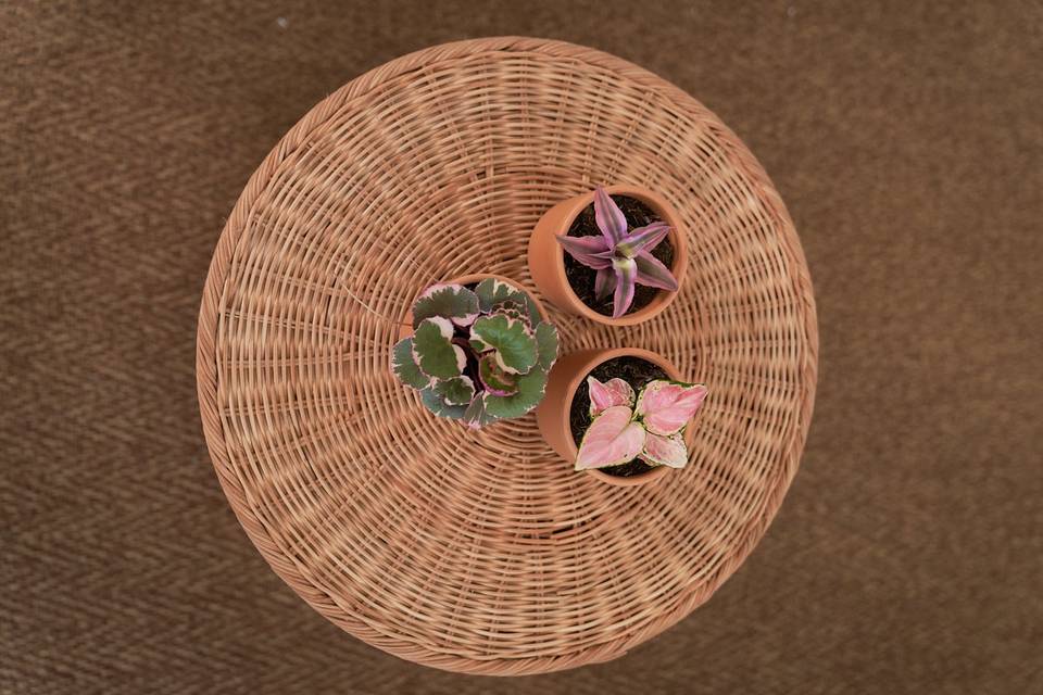 Minis para bodas