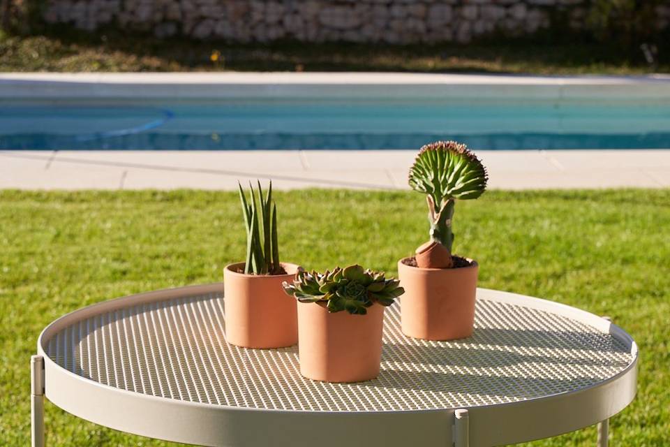 Perfectas para cada evento