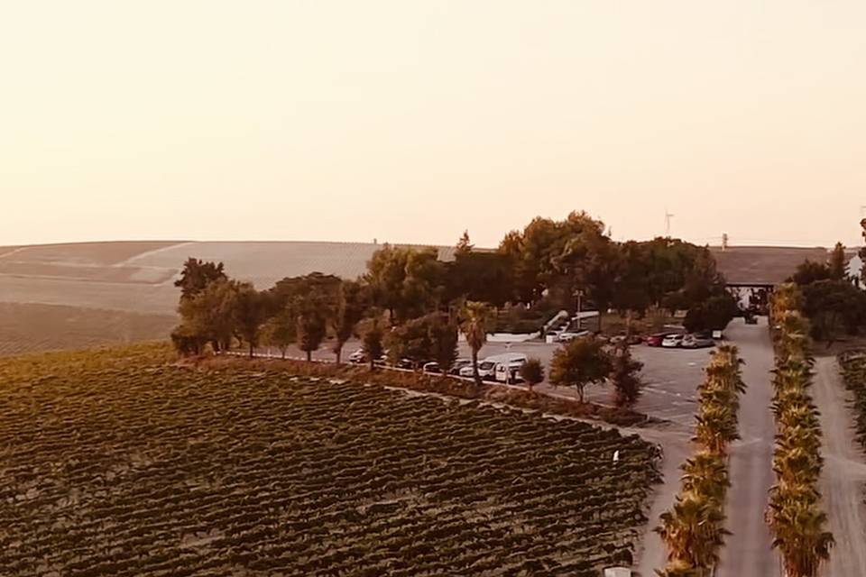 Viña