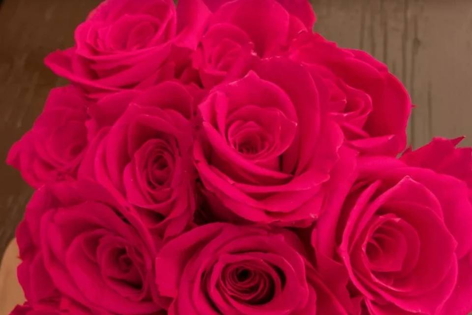 Ramo fucsia