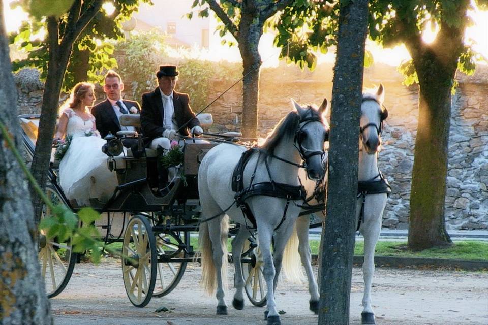 Coche de caballos. Fotograma