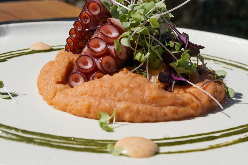 Comida