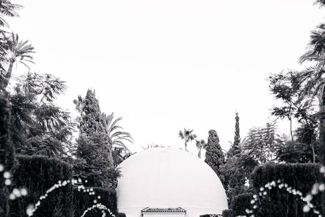 Boda S y T