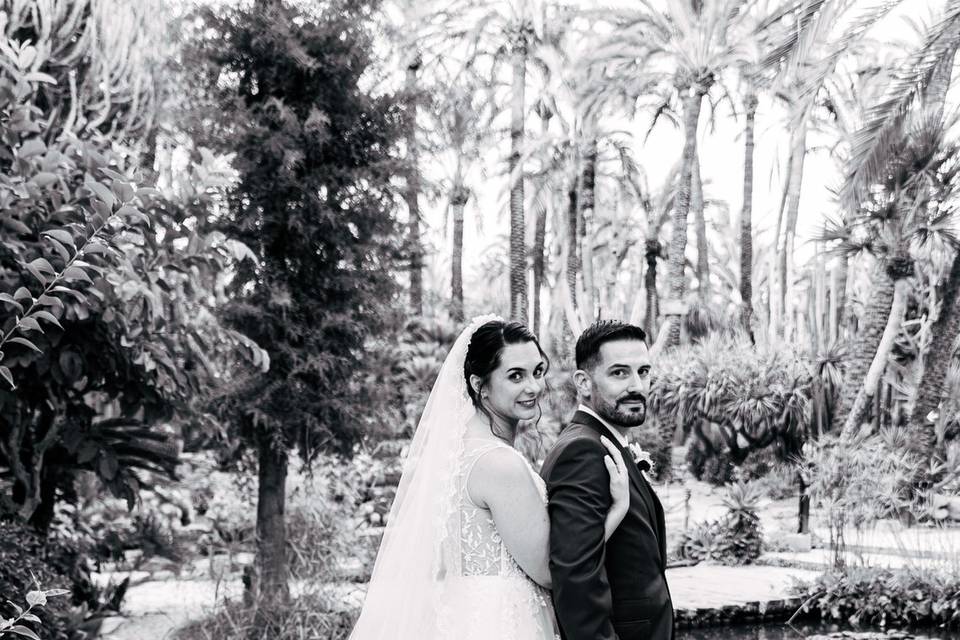 Boda S y T