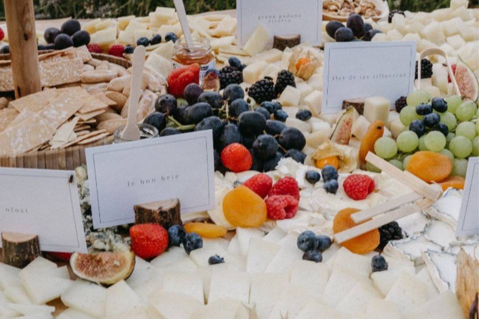Damaleonicatering