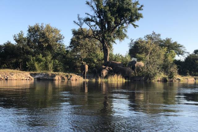 Rio Zambeze