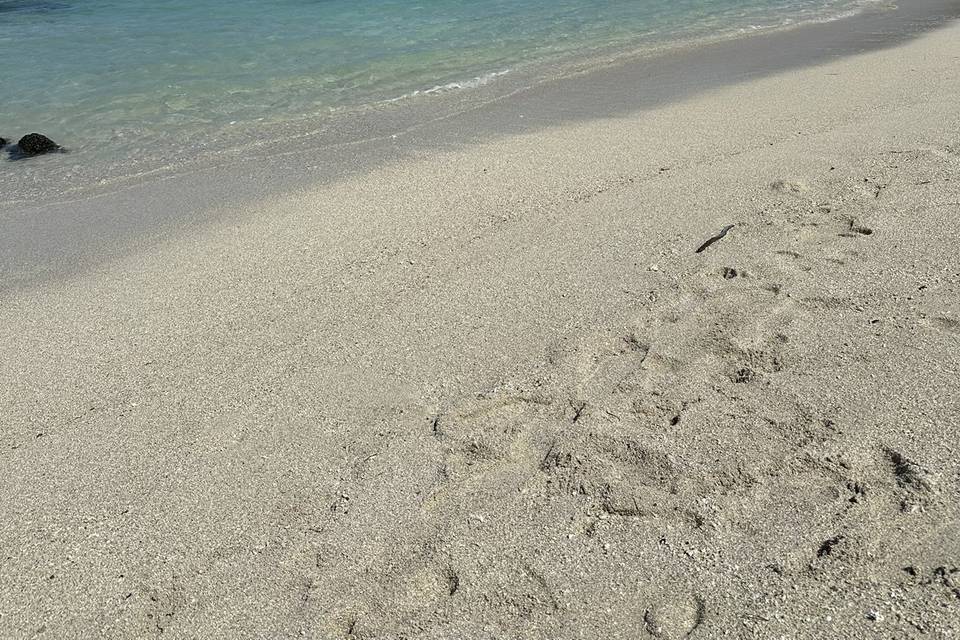 Isla de Los Ciervos