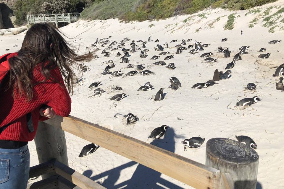 Simon's Town