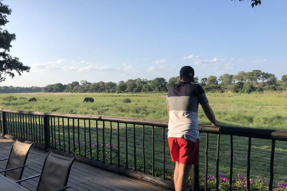 Vistas desde el lodge