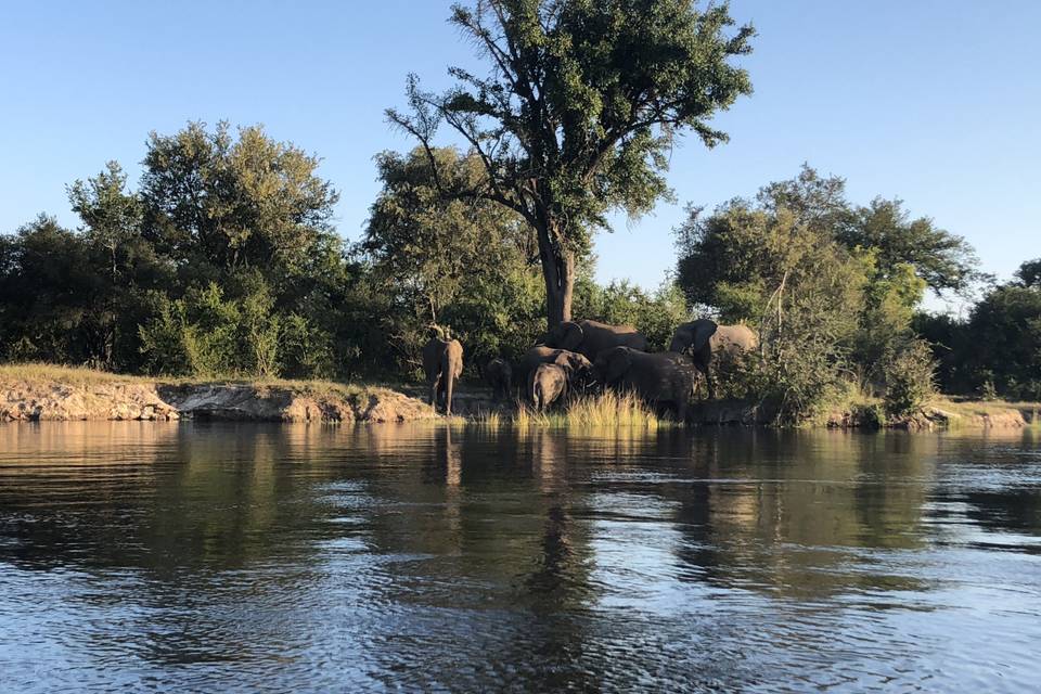 Rio Zambeze