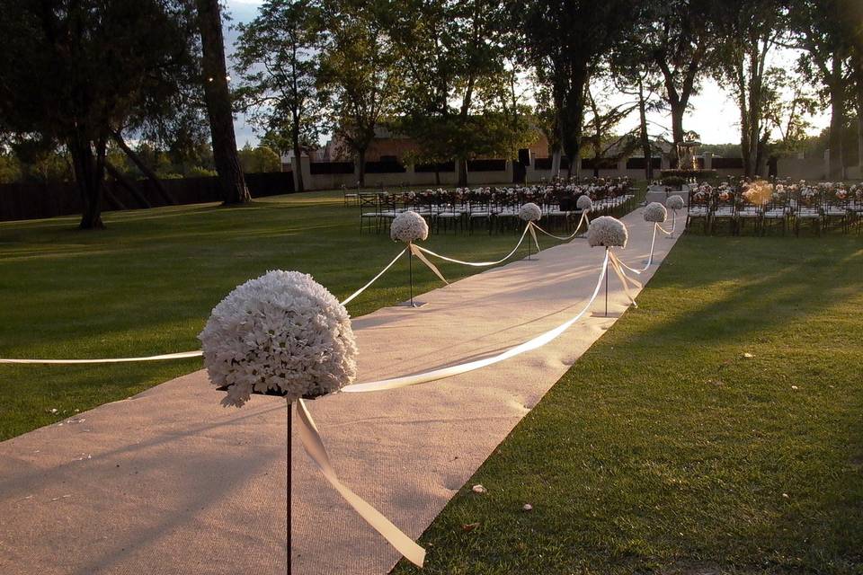 Ceremonia de Bodas