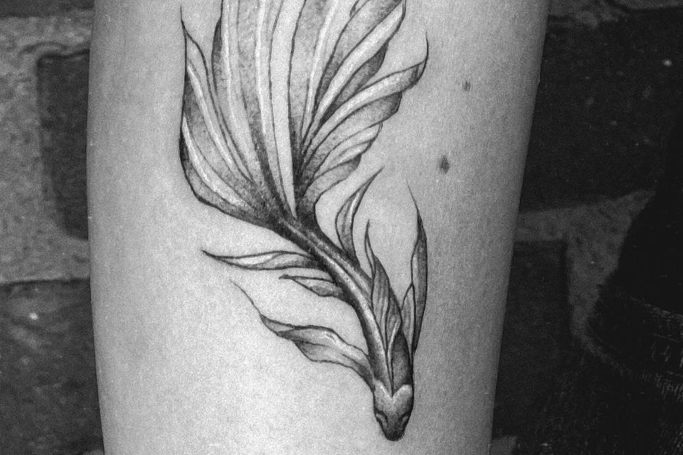 Pez tattoo