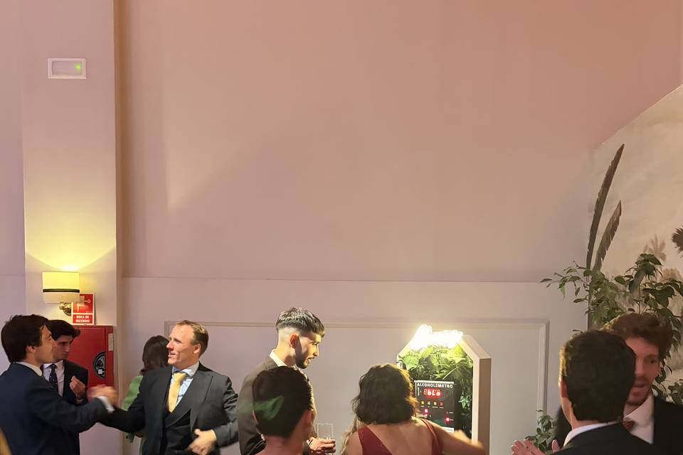 Bodas 4