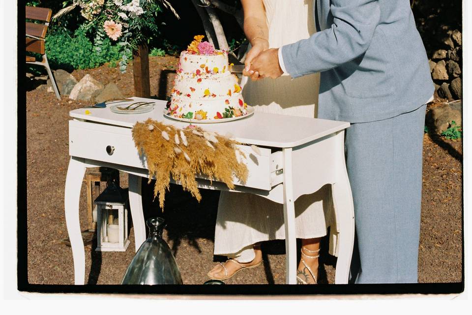 Alice & Michele 2026