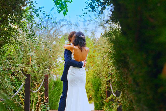 Charles D'Antoine Films