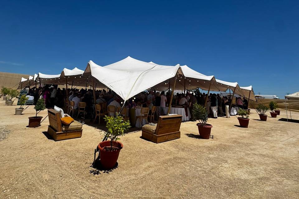 Carpas Beduina