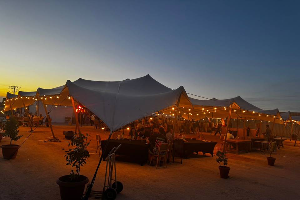 Carpas Beduina