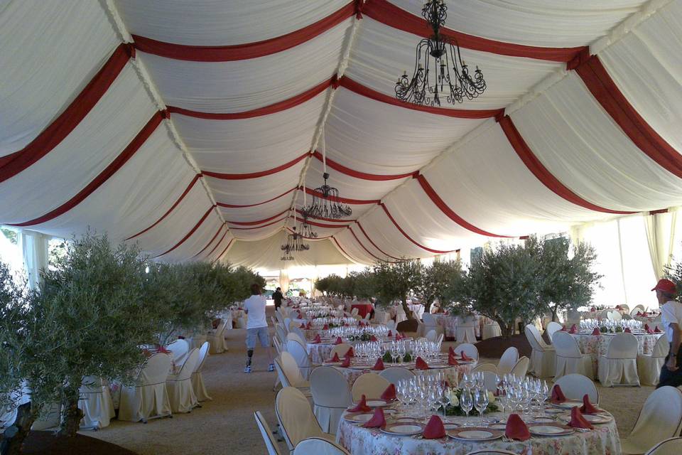 Carpa y decoración