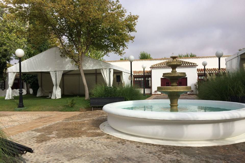Carpas