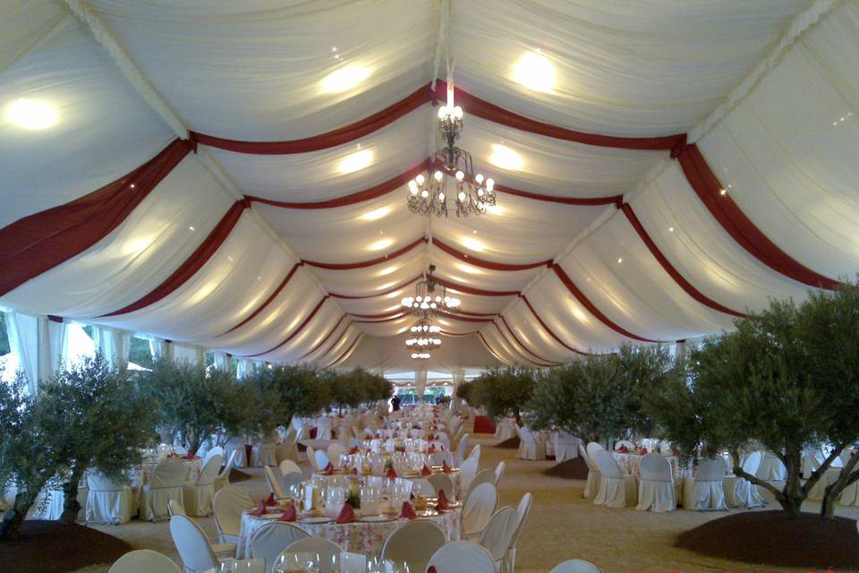 Carpa decorada