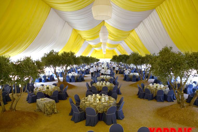 Carpa decorada