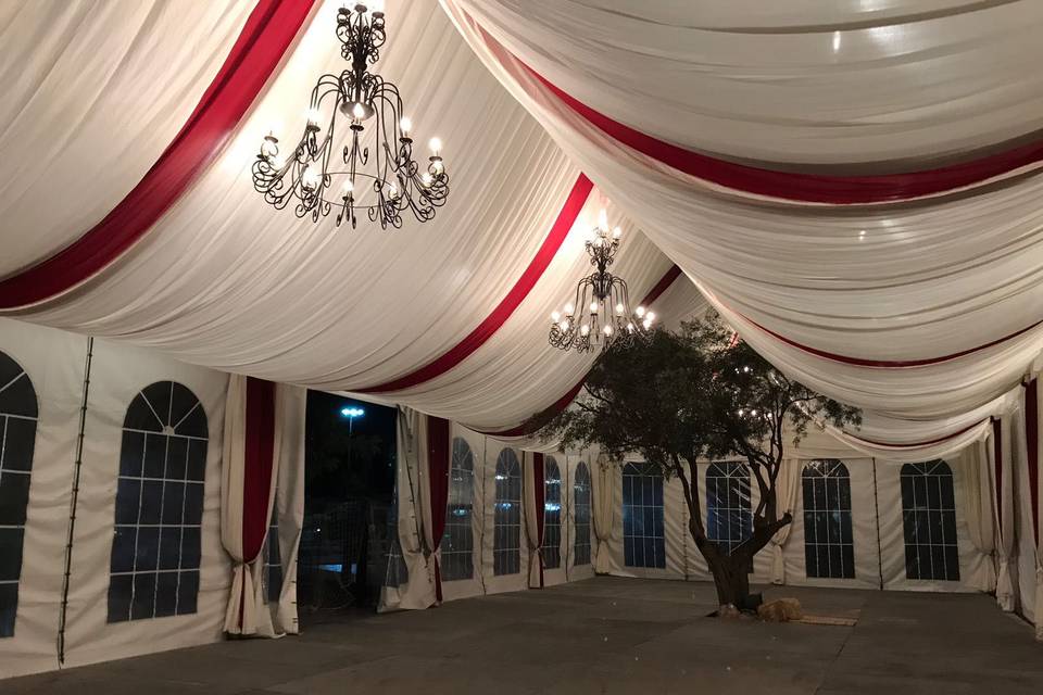 Carpa y decoracion