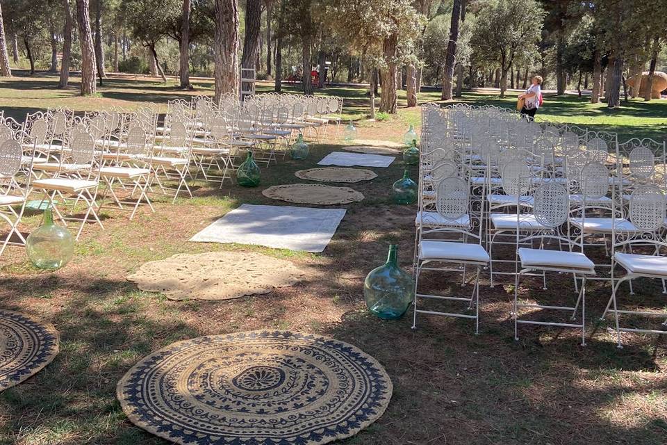 Sillas y alfombras